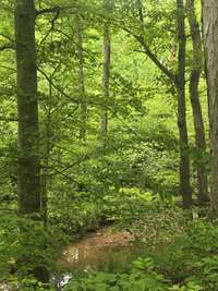 Nice cool walk.