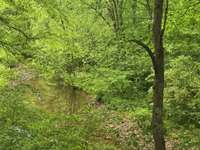 Play in the creek.