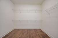 Primary Closet
