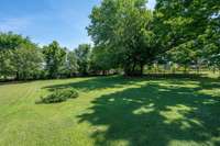 Rear lawn