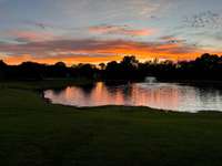 Neighborhood has a community pond. Great for fishing or relaxing with a picnic book