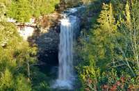 Just one of hundreds of world class waterfalls on the Cumberland Plateau!