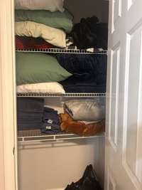 Hall Between Bedroom #2 and #3 has to Extra Storage Closets