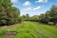 Don't miss the best backyard in Oak Hill!