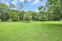This area is past the pool and it gives you a level spot to enjoy your hobbies or play a little soccer, toss a ball, add a swing or trampoline, etc.  There are also some fruit trees so you could always add to it and have a garden.