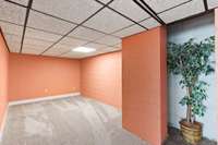 Basement: Extra room, storage, potential safe room or more