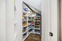 walk in pantry just left of the fridge