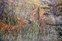 exquisite detail on the one of a kind mural