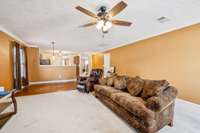 Another view of den
