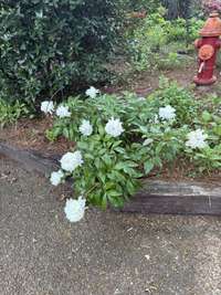 Beautiful Landscaping All Around You