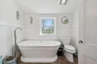 Downstairs guest bath