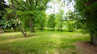 Back porch features wooded creek view.
