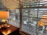 Lovely views of the private back yard from the living room.