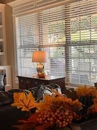 Natural lighting to the Living Room from the patio.