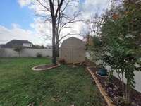 View of shed and secret gardens.
