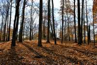 Stunning lot in Williamson County's Primm Springs!