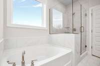 Garden tub AND walk in shower!