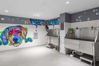 Pet washing station for your furry friends