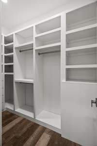 one of two closets in main suite