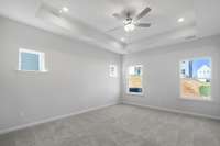 10 ft trey ceiling, fan & LEDs with a lot of natural light