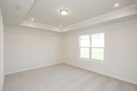 Primary Bedroom w/trey ceiling