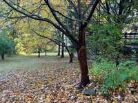 A view off your deck