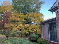 Red, Green, Gold and Orange - Fall at 1037 Rolling Fields is very colorful!