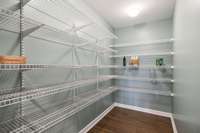 Fantastic walk-in pantry!