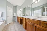 Primary suite bathroom