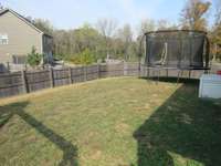 Back yard