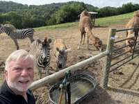 Yes! We have Zebra’s  and Camels! Could be purchased separately!