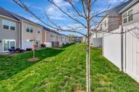 Greenspace behind your privacy fence