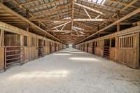 Freshly laid sawdust