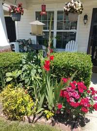 Full Summer Bloom