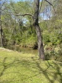 ANOTHER VIEW OF THE CREEK (LOOKING FROM YOUR BACK YARD)