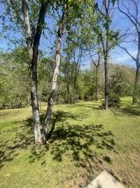 BACK YARD - VERY PRIVATE
