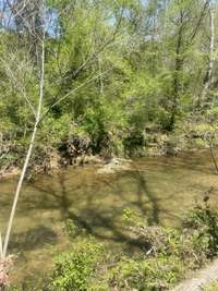 GORGEOUS LOOK AT THE CREEK!!