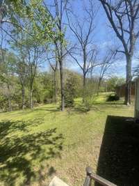 BACK YARD GOING DOWN TO CREEK