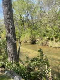 HERE'S A VIEW OF SHOAL CREEK FROM YOUR BACK YARD!