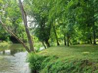 Peaceful spot for a picnic or bbq!