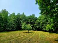 Great area next to the creek to put a little camping site for friends and family to enjoy. Before virtual staging.