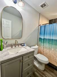 This bathroom is a shower/tub combination between the two downstairs bedrooms.