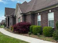 gorgeous stone work showcases a beautiful Japanese Maple tree