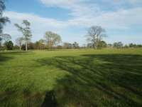 Have you ever seen more immaculately kept property?