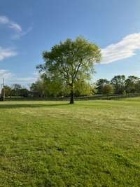 level, pasture land