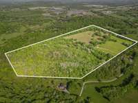 Road frontage view of the 70 acres