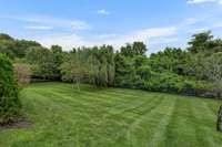 Yard levels out toward the back and has plenty of room for a pool!