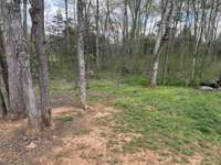 Wooded area in backyard - Lot Size 1.43 Acres per Tax Records.