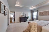 The owner's suite has the first of two closets~ a huge walk in closet on the left.