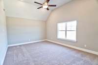Bonus room with vaulted ceiling